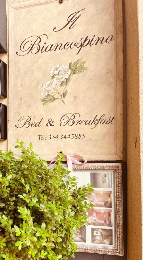 أبّادييا سان سالفاتور B&B Il Biancospino المظهر الخارجي الصورة