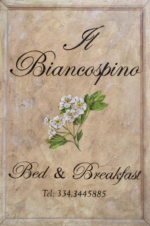 أبّادييا سان سالفاتور B&B Il Biancospino المظهر الخارجي الصورة